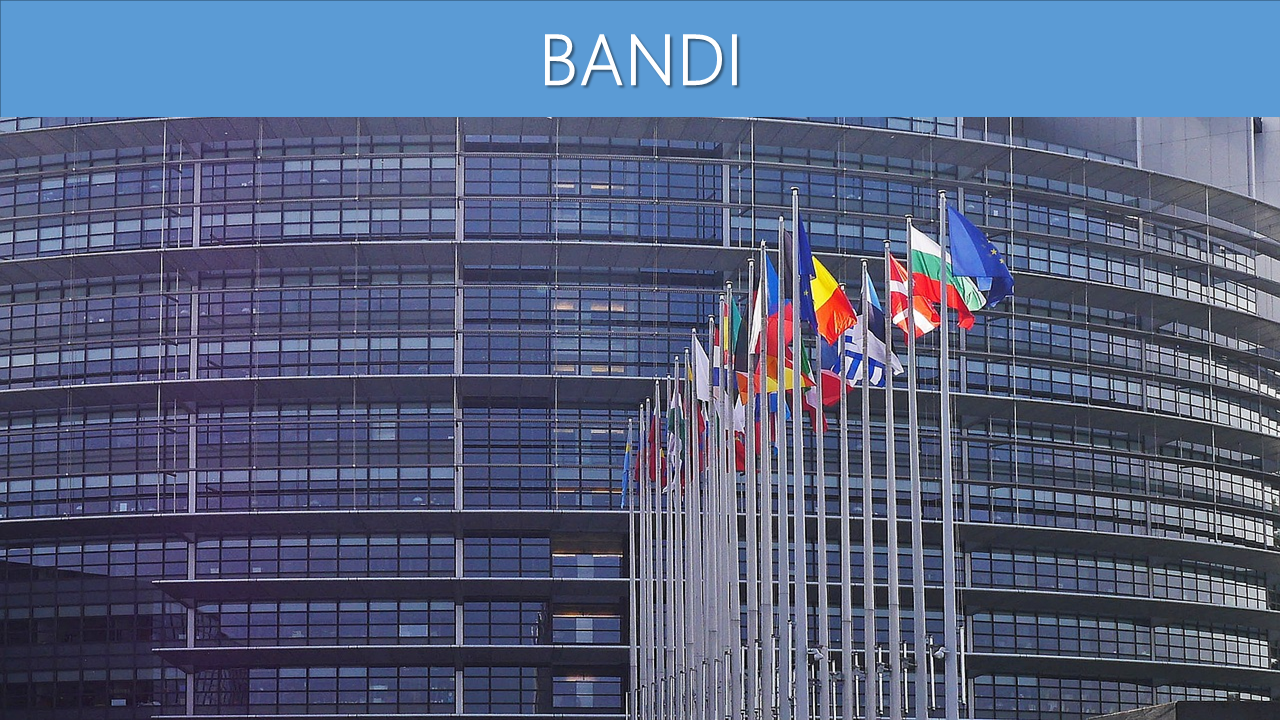 CONFERIMENTO DI UN INCARICO DI COLLABORAZIONE COORDINATA E CONTINUATIVA