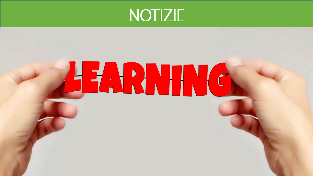 APERTE LE CANDIDATURE ALLA SUMMER SCHOOL 2018