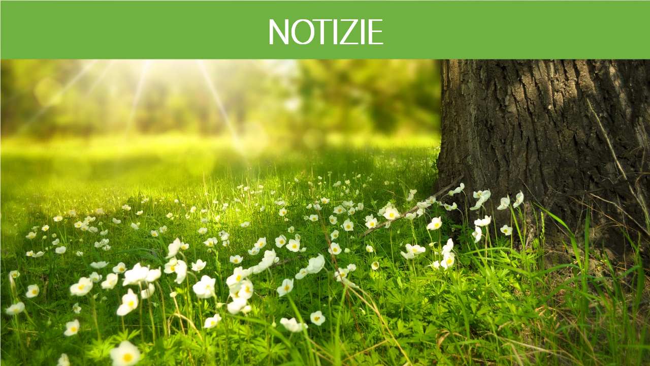 LANCIATO IL PRIMO PREMIO EUROPEO PER LA SOSTENIBILITÀ