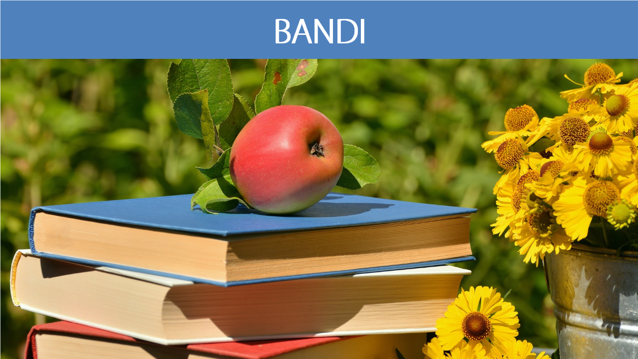 CANDIDATI AMMESSI ALLA SUMMER SCHOOL 2018