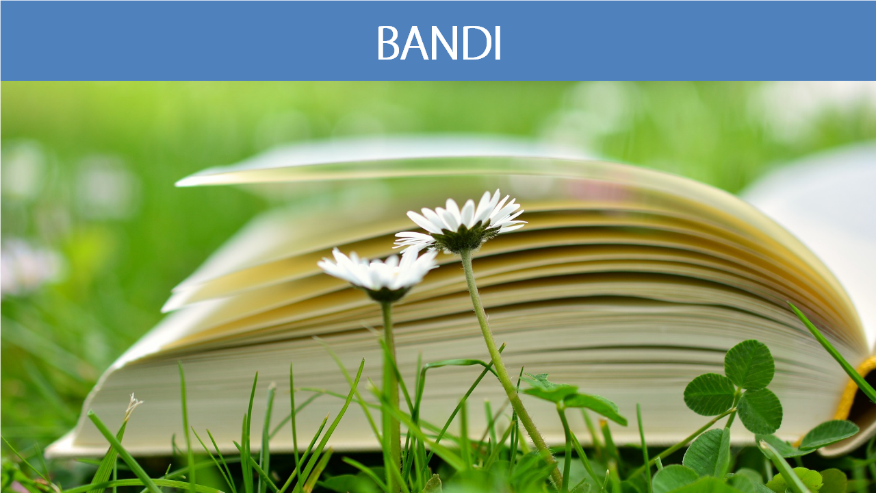 SUMMER SCHOOL PER AMMINISTRATORI LOCALI – BANDO 2019